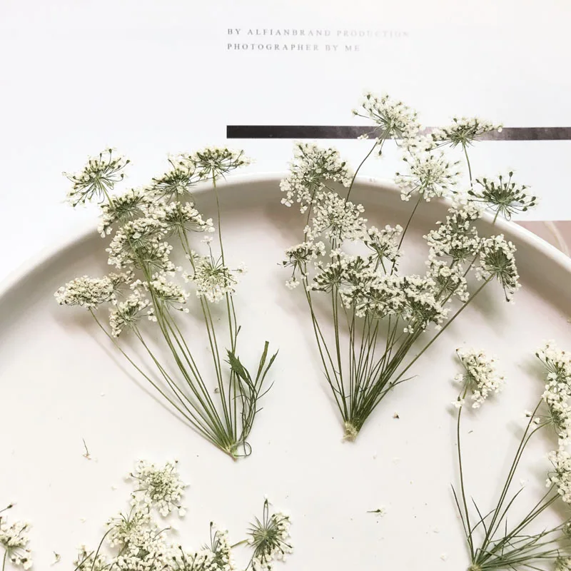 5-7cm/12szt, śnieg małe kwiaty – Craft Embellishments recenzja i cena