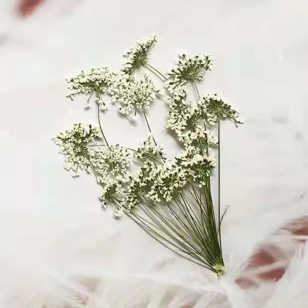 5-7cm/12szt, śnieg małe kwiaty – Craft Embellishments recenzja i cena