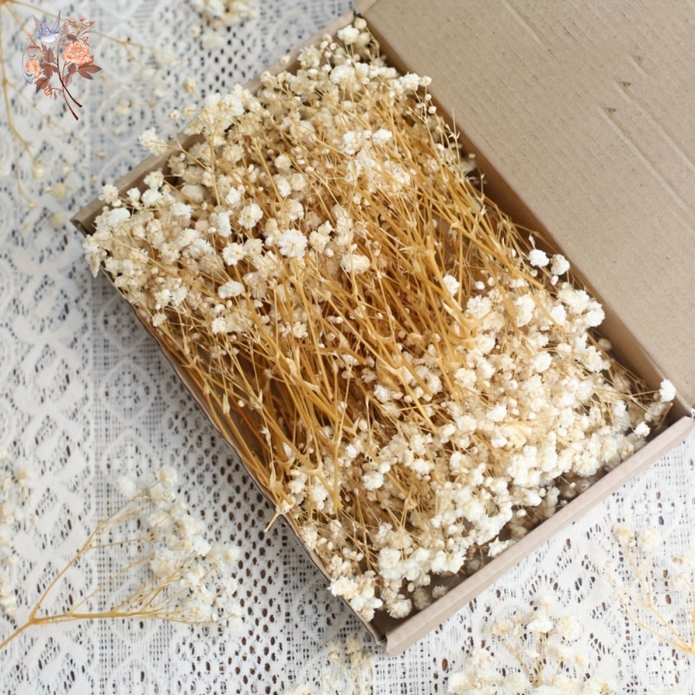 100 szt. Mini Suszone Kwiaty G – Craft Embellishments recenzja i cena